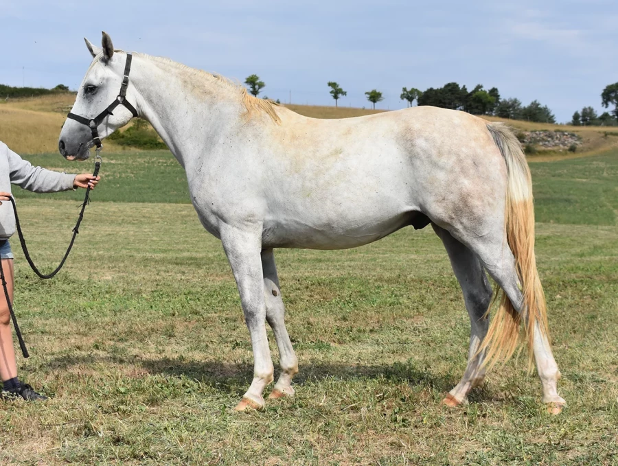 Mitchiko - Miniature 2