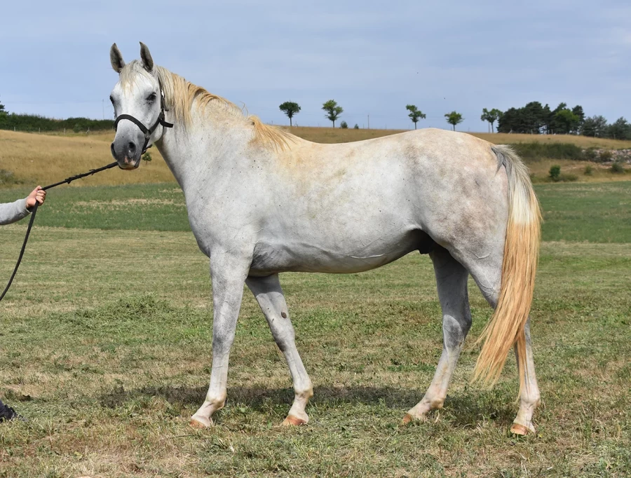 Mitchiko - Miniature 3