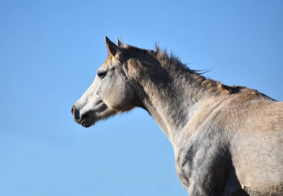 Hecate - Miniature 4