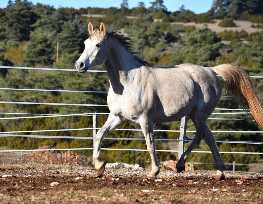 Hecate - Miniature 3