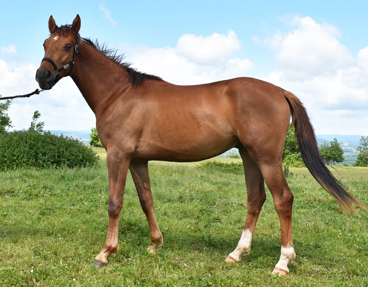 Naruto - Miniature 2