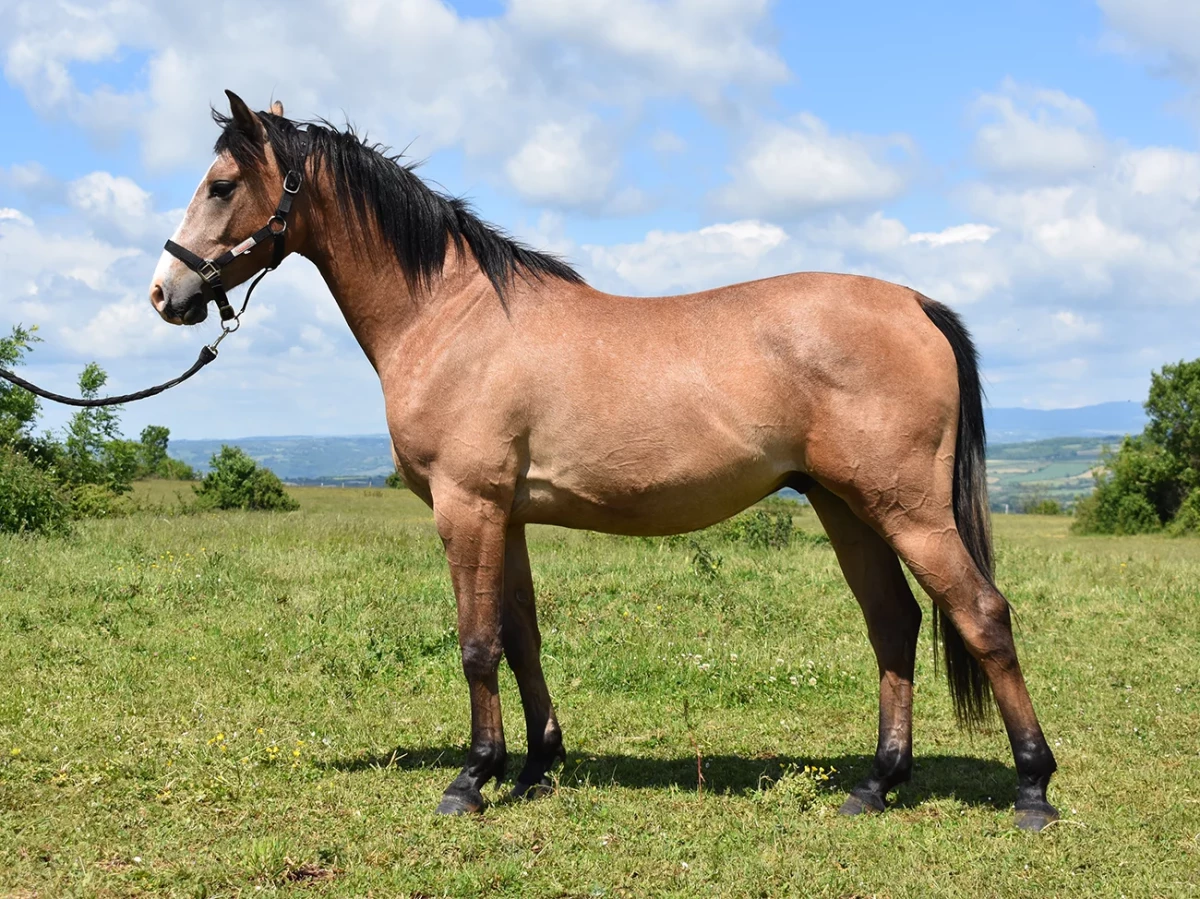 New one - Miniature 3