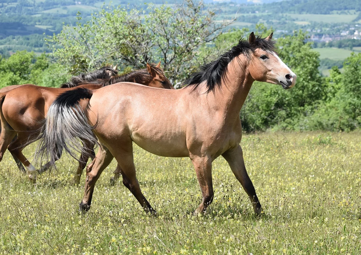 New one - Miniature 2