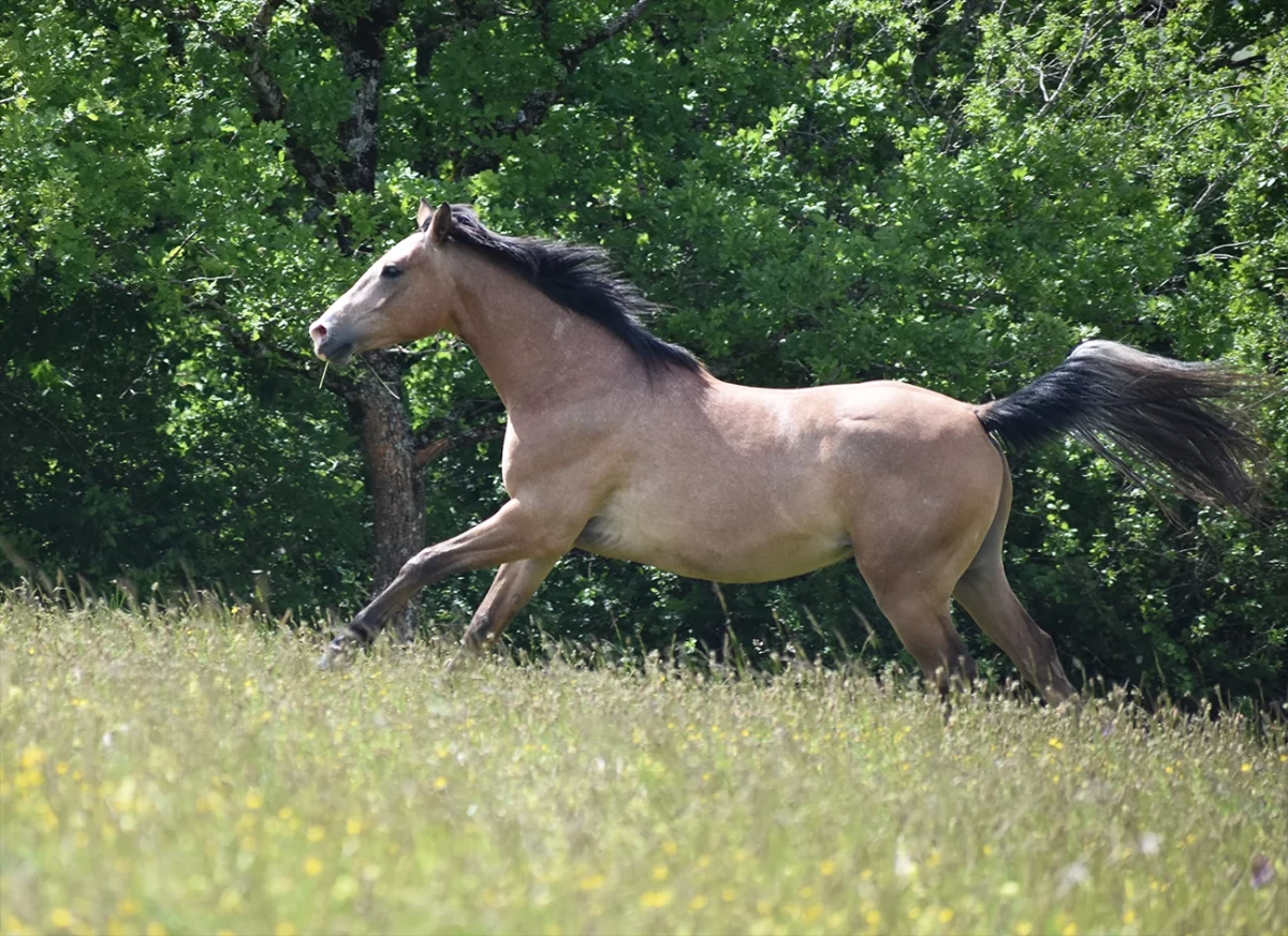 New one - Miniature 5