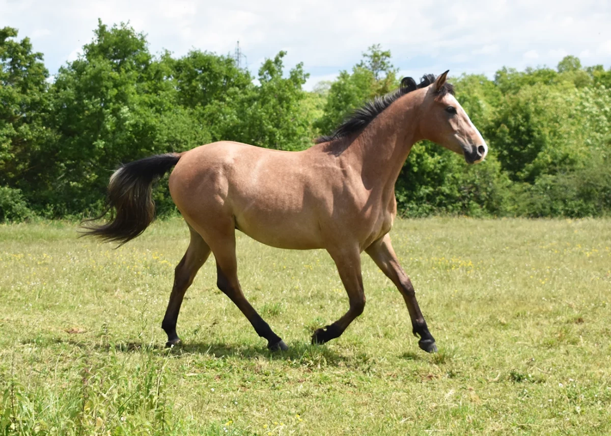 New one - Miniature 4