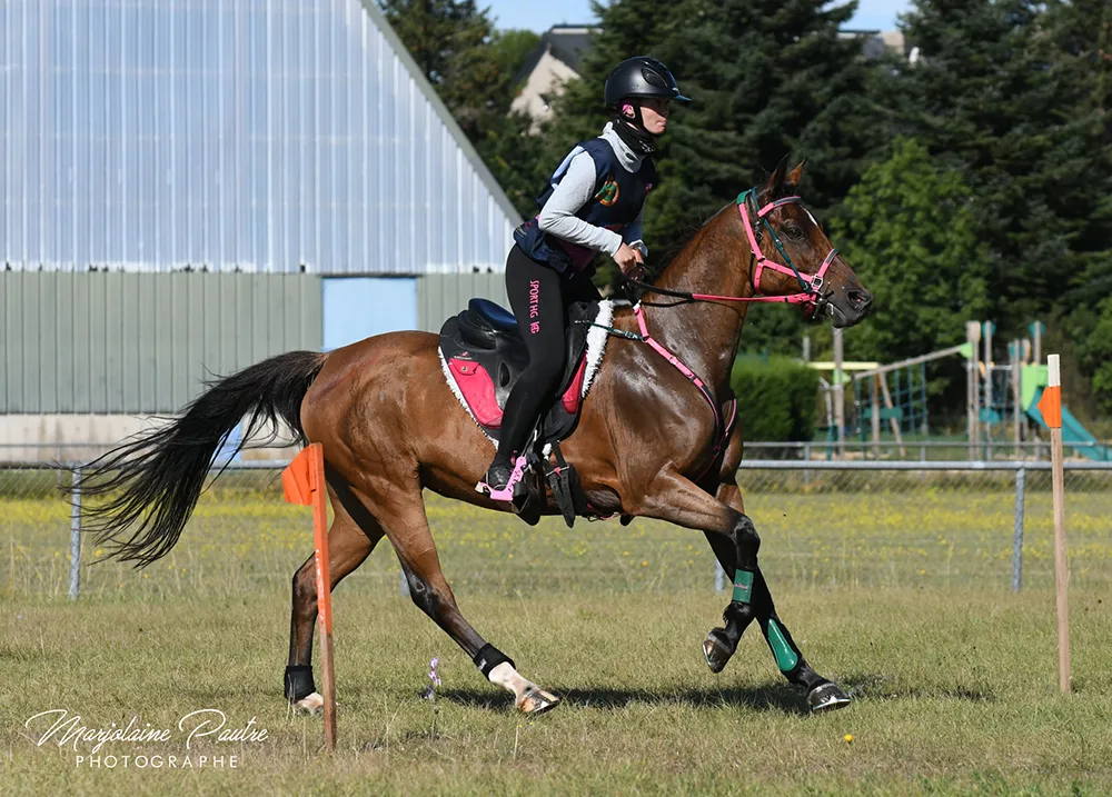 Assija - Miniature 2