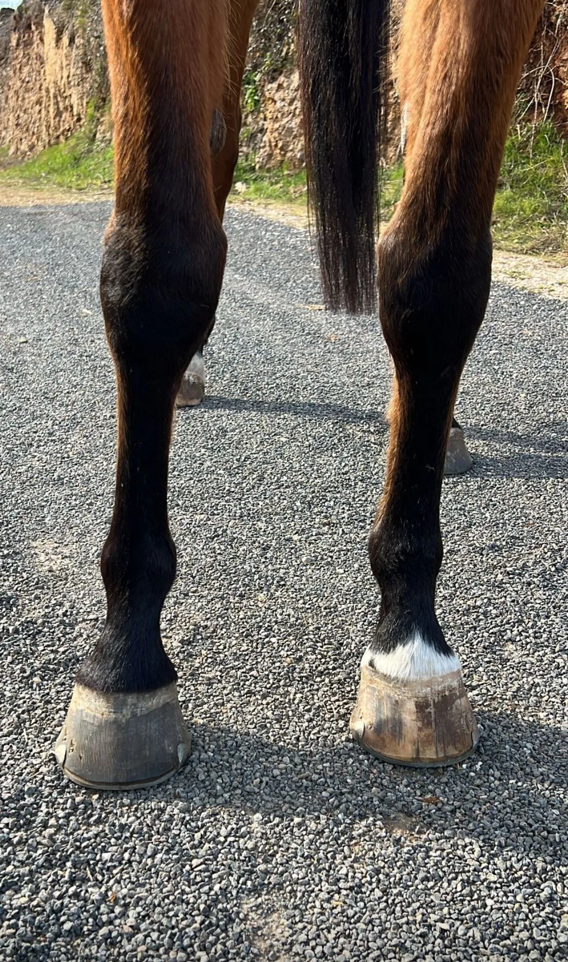 Kihade - Miniature 3