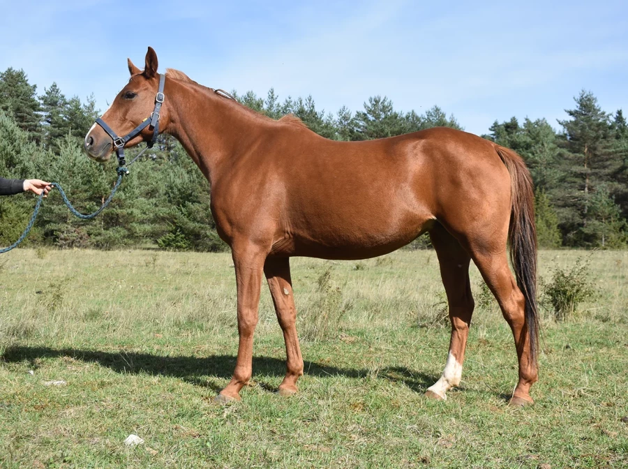 Kailma - Thumbnail 3