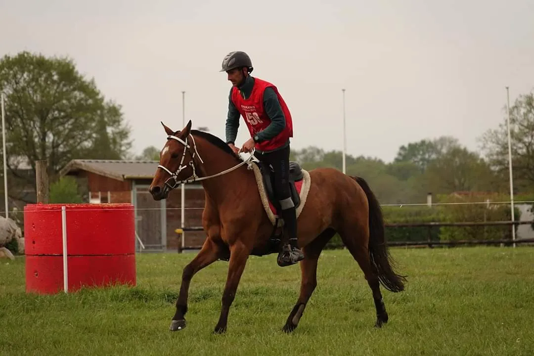 Djawzia - Miniature 4