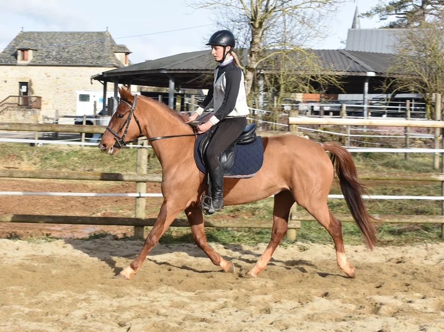 Jamaike - Miniature 4