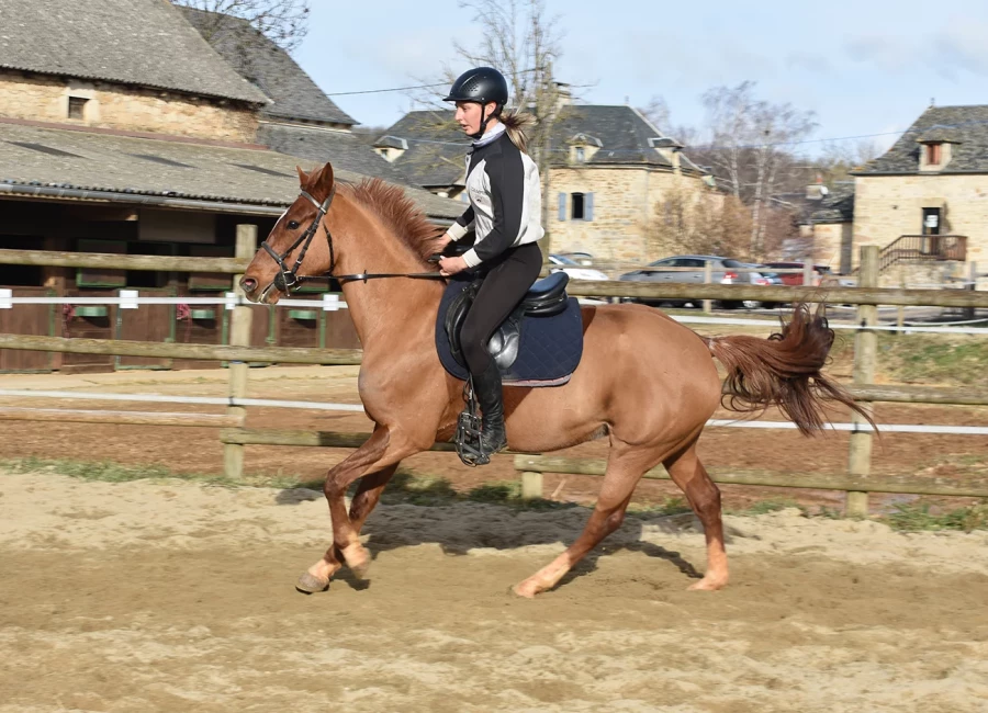 Jamaike - Miniature 2